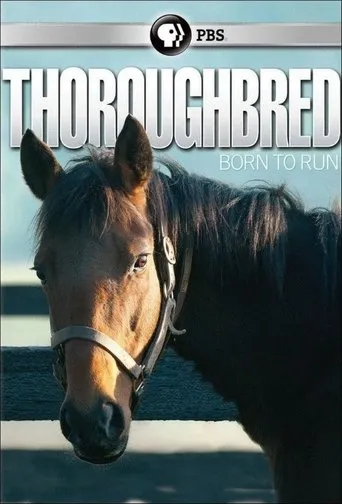 Póster de Thoroughbred: Born to Run
