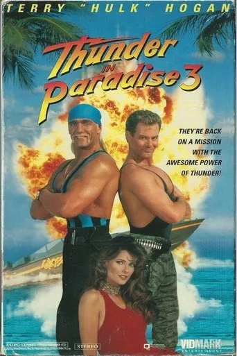 Póster de Thunder in Paradise 3