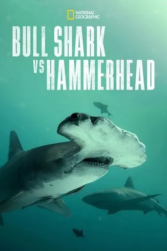 Póster de Tiburón toro vs. tiburón martillo (2023) con Mike Heithaus como Self