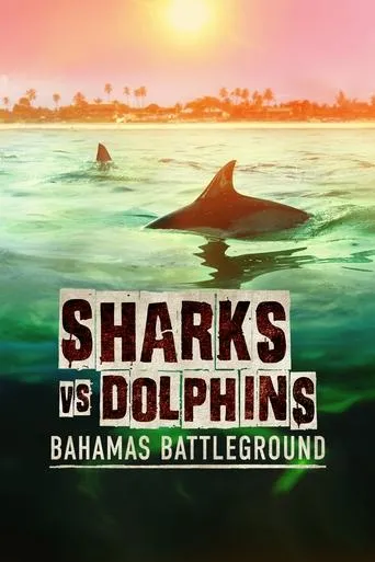 Póster de Tiburones vs delfines: batalla en las Bahamas