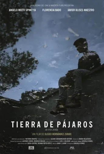 Póster de Tierra de Pájaros