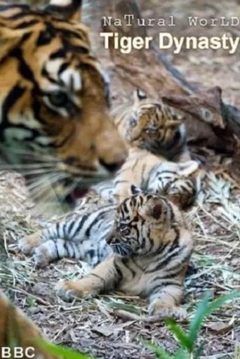 Póster de Tiger Dynasty
