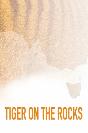 Póster de Tiger on the Rocks