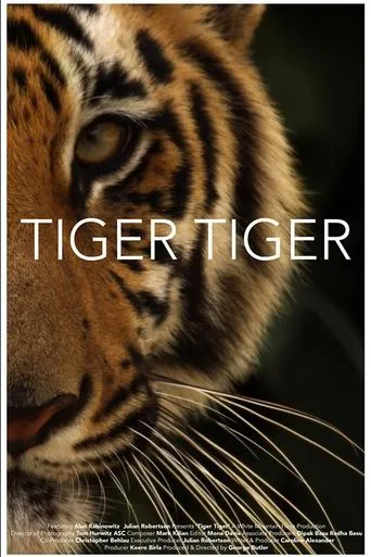 Póster de Tiger Tiger