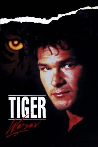 Póster de Tiger Warsaw