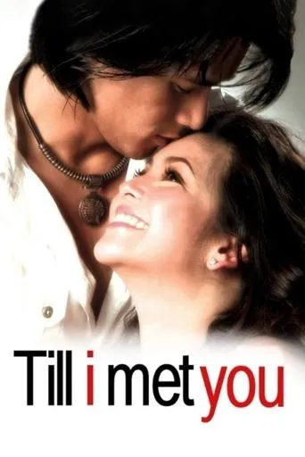 Póster de Till I Met You