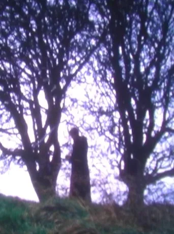 Póster de Tír na nÓg