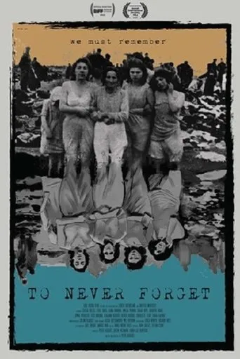 Póster de To Never Forget