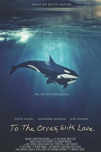 Póster de To the Orcas with Love