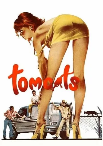 Póster de Tomcats