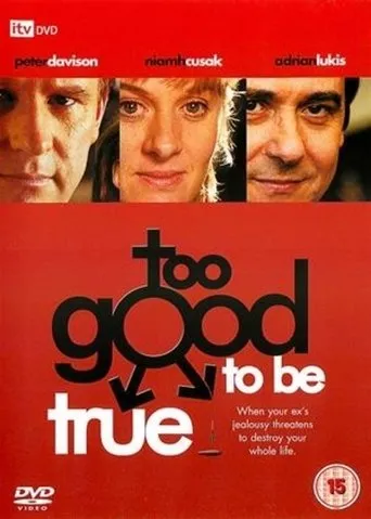 Póster de Too Good to Be True