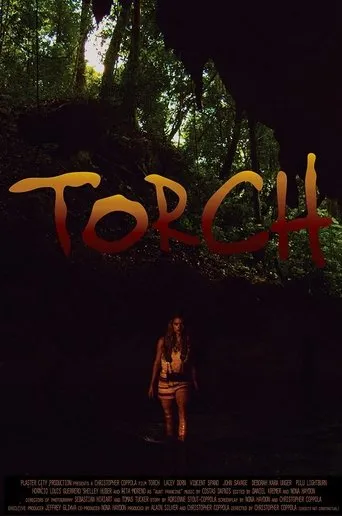Póster de Torch
