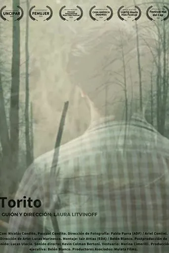 Póster de Torito