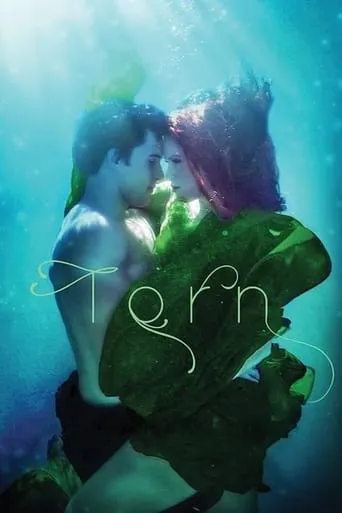Póster de Torn