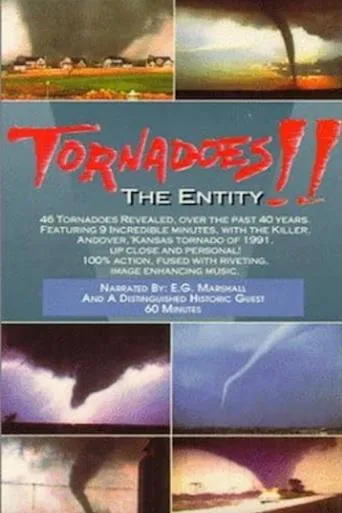 Póster de Tornadoes: The Entity