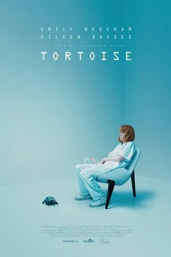 Póster de Tortoise