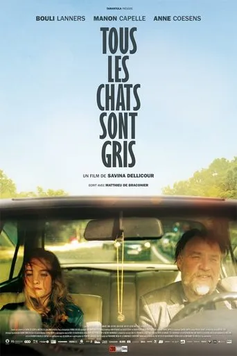 Póster de Tous les chats sont gris