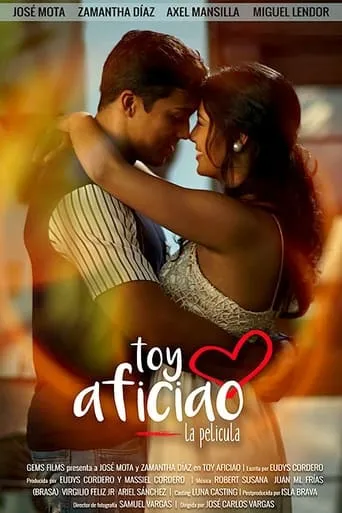 Póster de Toy Aficiao