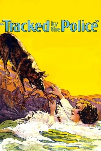 Póster de Tracked by the Police