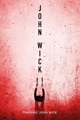 Póster de Training 'John Wick'