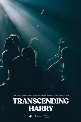 Póster de Transcending Harry