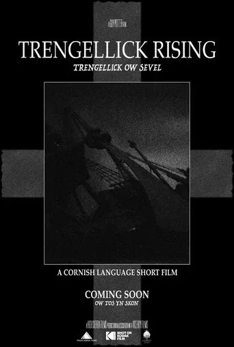 Póster de Trengellick Rising