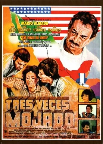 Póster de Tres veces mojado