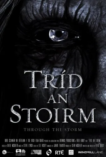 Póster de Tríd an Stoirm