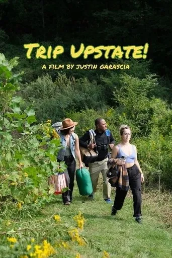Póster de Trip Upstate!