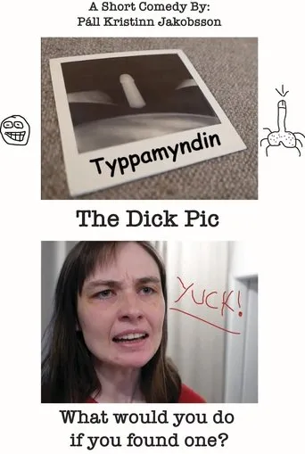 Póster de Typpamyndin