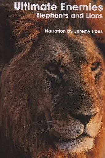 Póster de Ultimate Enemies: Elephants and Lions