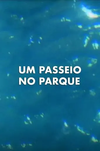 Póster de Um Passeio no Parque