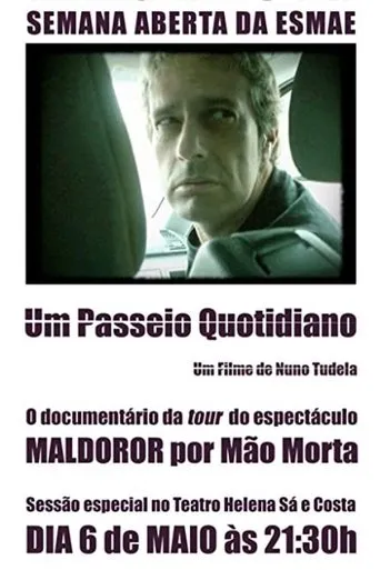 Póster de Um Passeio Quotidiano