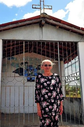 Póster de Uma Visita Para Elizabeth Teixeira