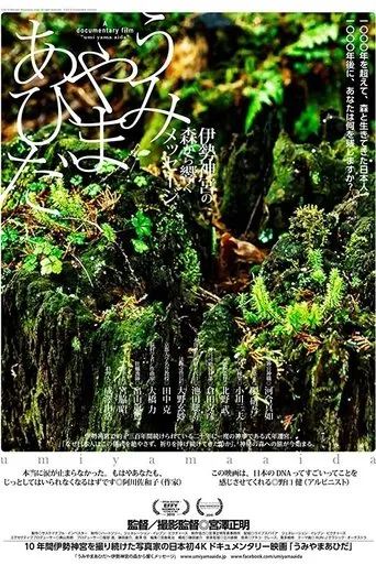 Póster de Umi Yama Aida