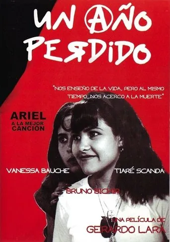 Póster de Un año perdido
