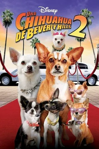 Póster de Un chihuahua en Beverly Hills 2