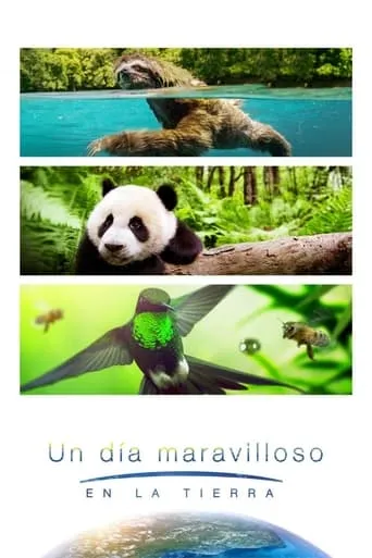 Póster de Un día maravilloso en la Tierra