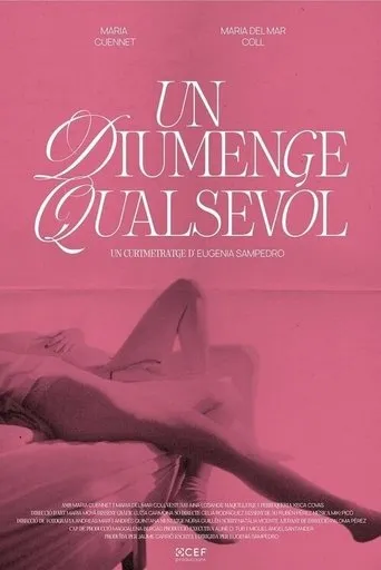 Póster de Un diumenge qualsevol