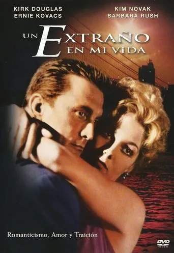 Póster de Un extraño en mi vida