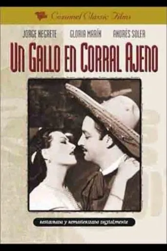 Póster de Un gallo en corral ajeno