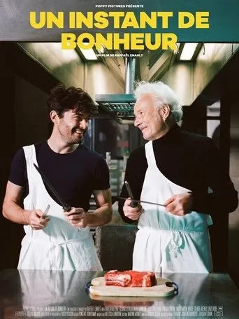 Póster de Un instant de bonheur