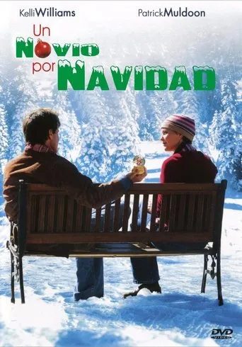Póster de Un novio por Navidad (2004) con David Starzyk como Ian