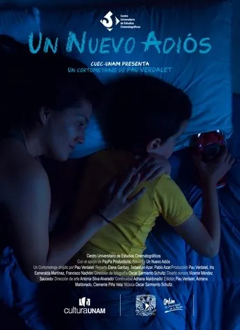 Póster de Un nuevo adiós