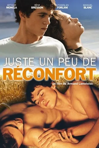 Póster de Un pequeño confort
