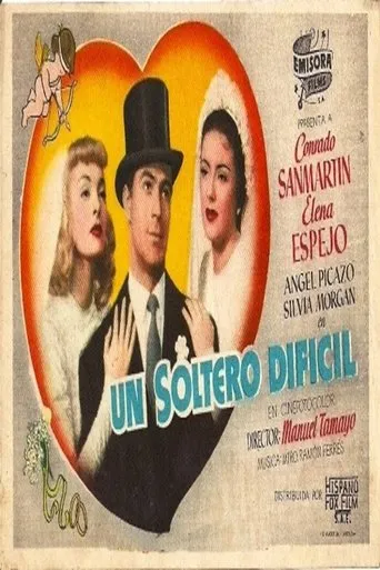 Póster de Un soltero difícil