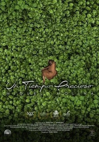 Póster de Un tiempo precioso
