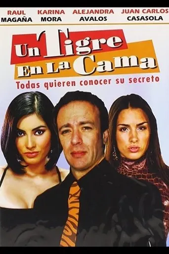 Póster de Un tigre en la cama