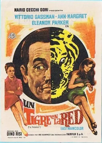 Póster de Un tigre en la red (1967) con Giovanni Ivan Scratuglia