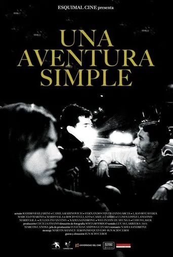 Póster de Una aventura simple